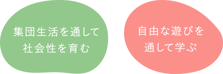 集団生活を通して社会性を育む・自由な遊びを通して学ぶ