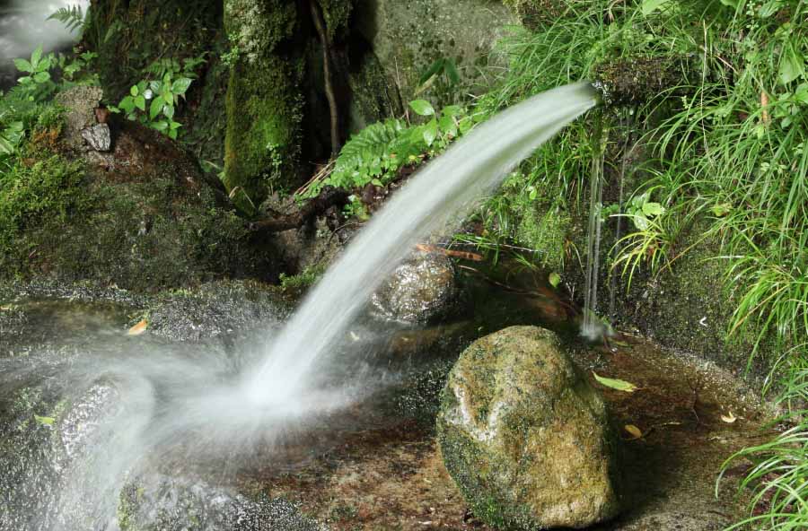 きれいな水